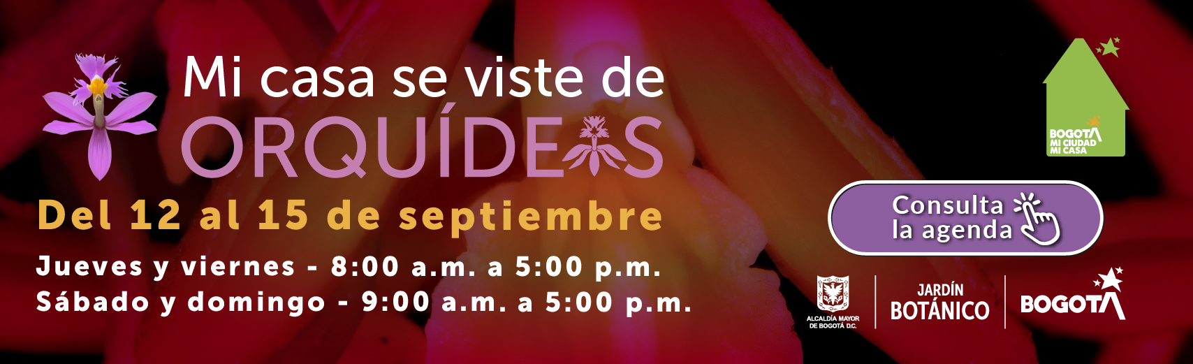 Agenda evento orquideas 2024