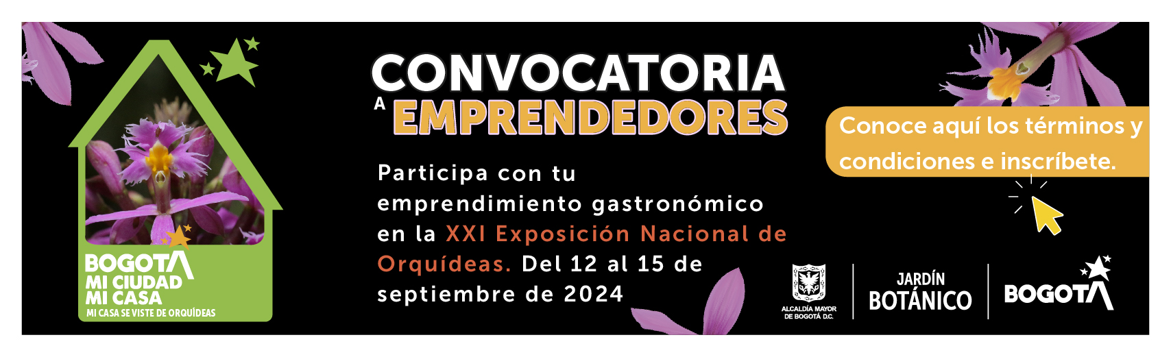 Convocatoria emprendedores orquideas 2024
