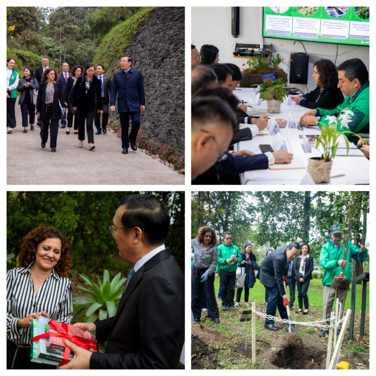 El Jardín Botánico de Bogotá y la ciudad de Chengdu fortalecen su alianza para trabajar por la biodiversidad