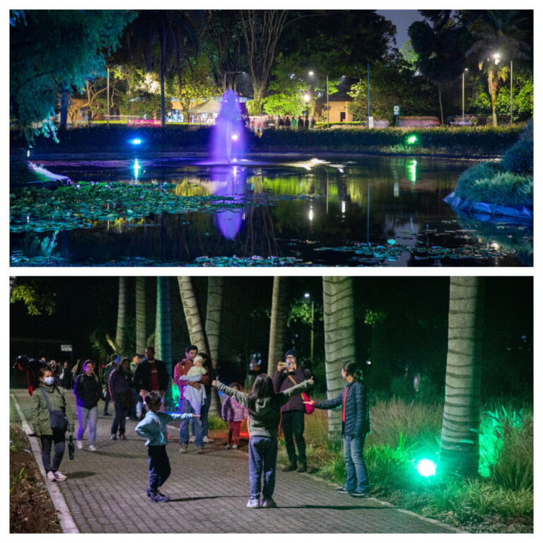 Jardín de noche 25 de octubre 2024