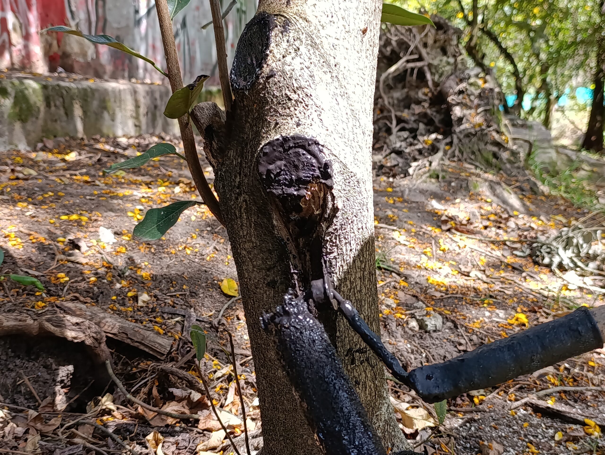 Parque Nacional