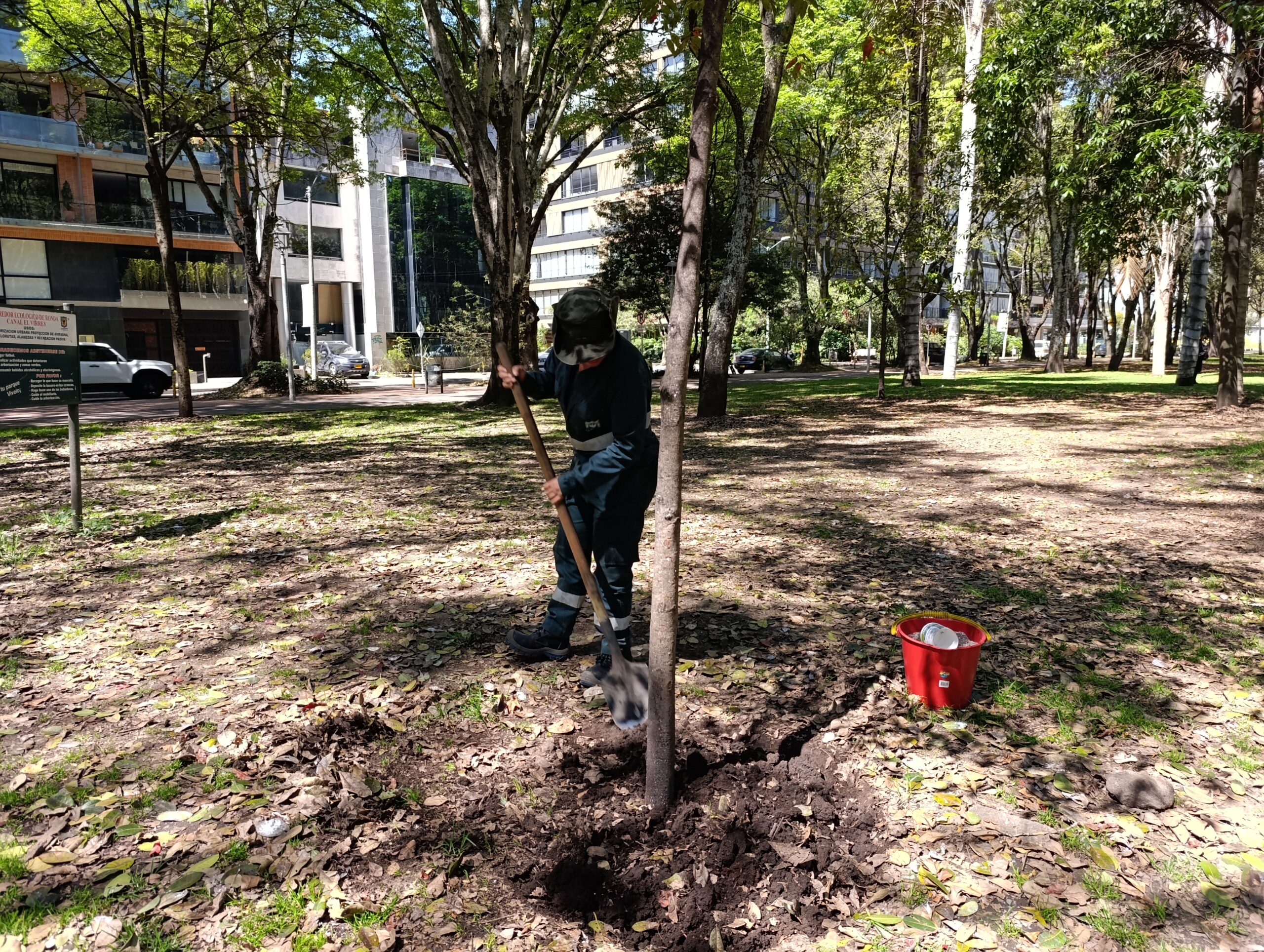 El Jardín Botánico fortalece las coberturas vegetales del Parque El Virrey