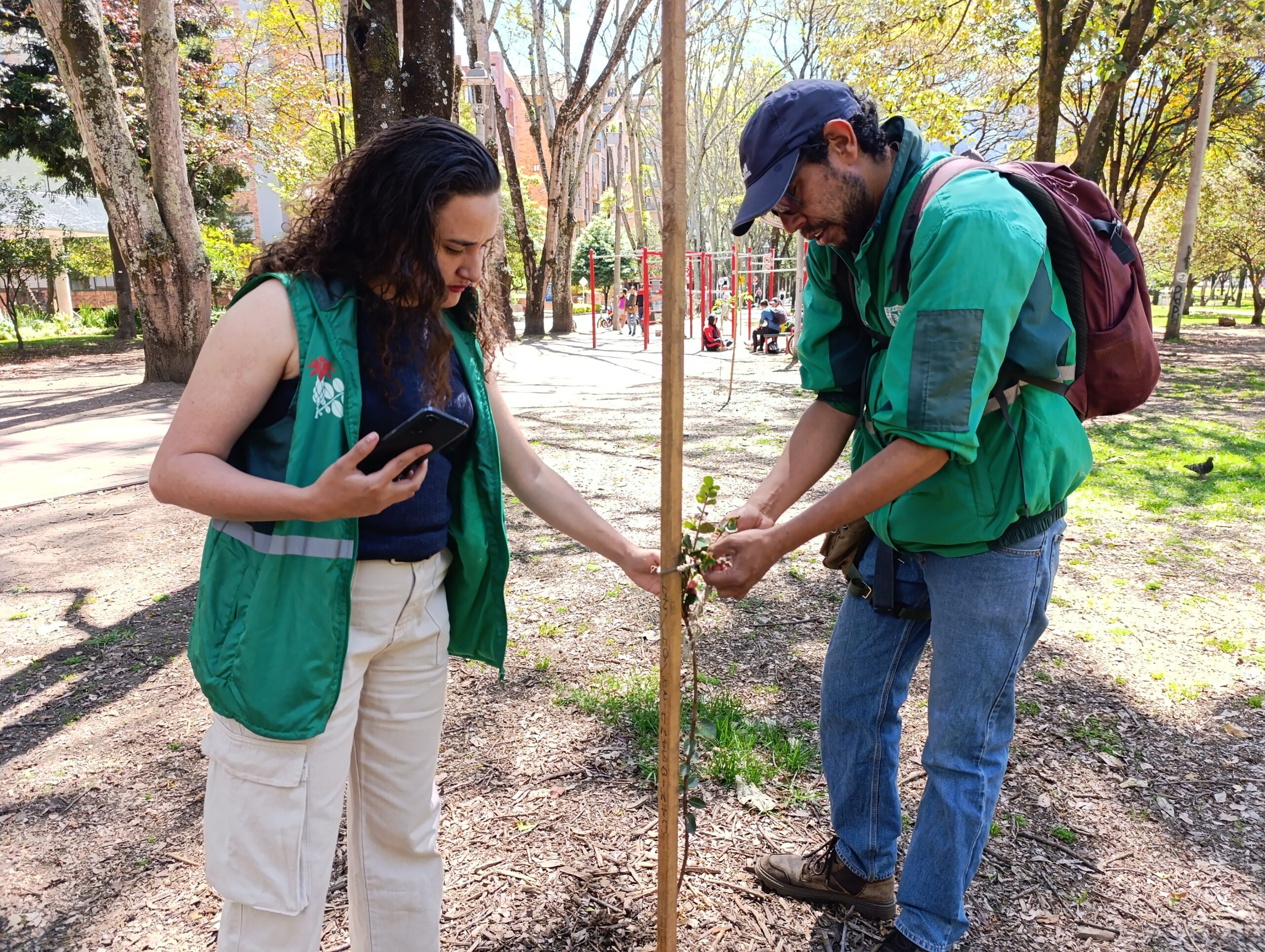 El Jardín Botánico fortalece las coberturas vegetales del Parque El Virrey