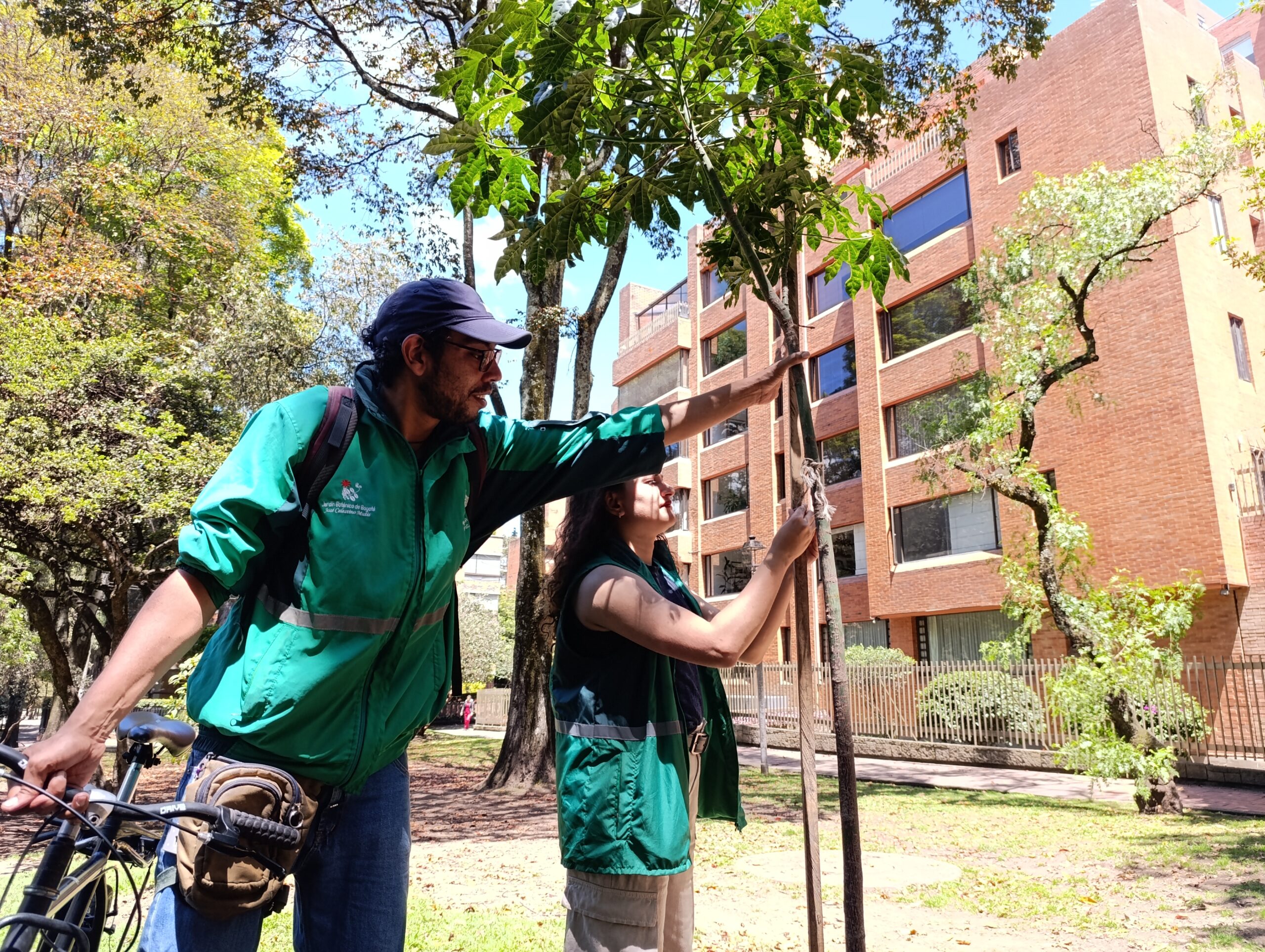 El Jardín Botánico fortalece las coberturas vegetales del Parque El Virrey
