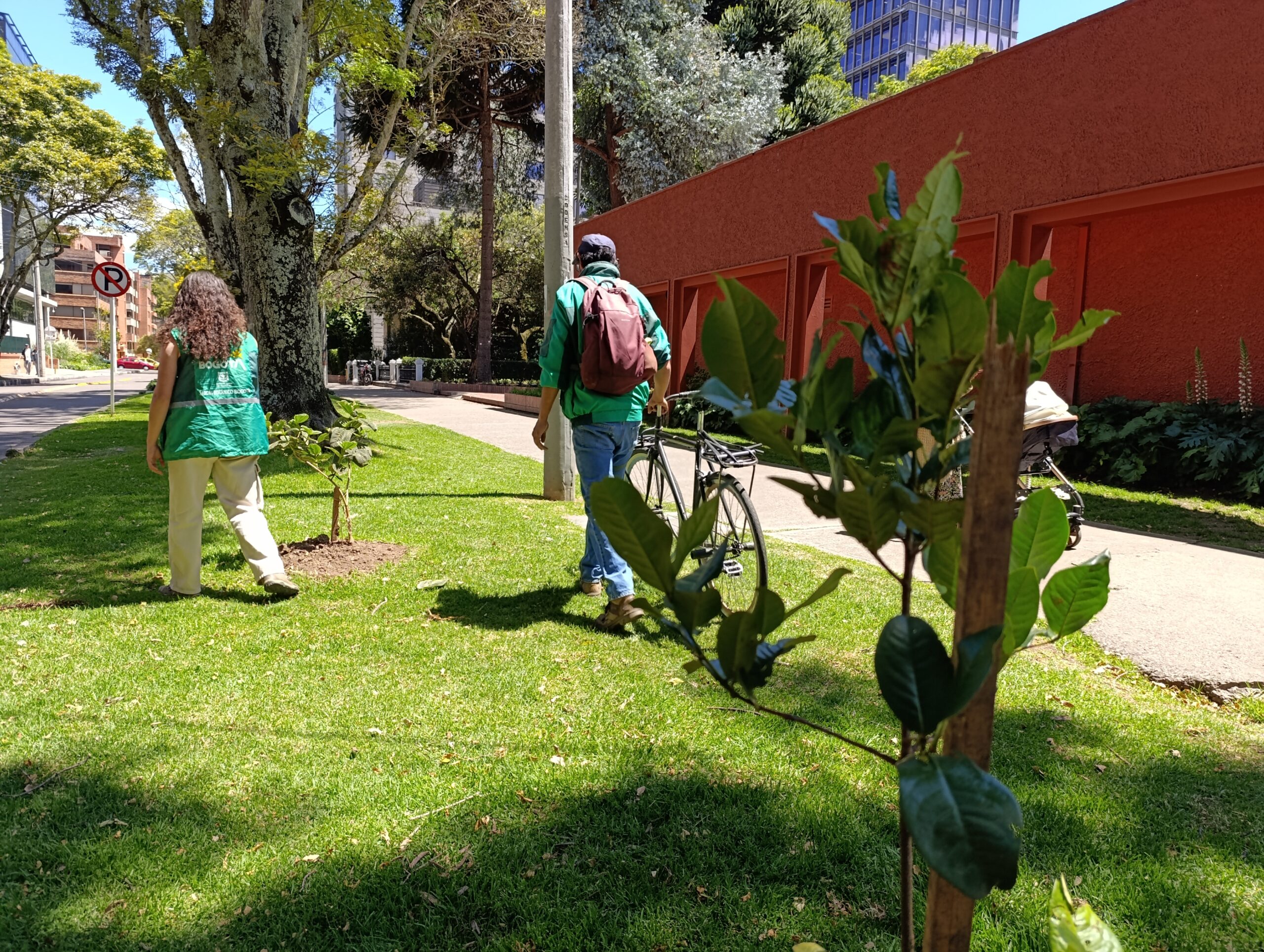 El Jardín Botánico fortalece las coberturas vegetales del Parque El Virrey