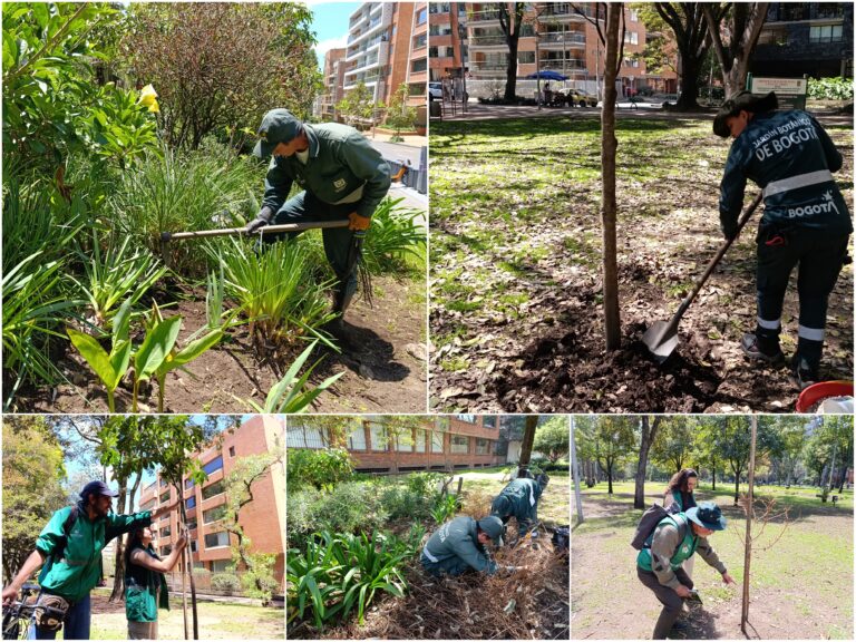 El Jardín Botánico fortalece las coberturas vegetales del Parque El Virrey