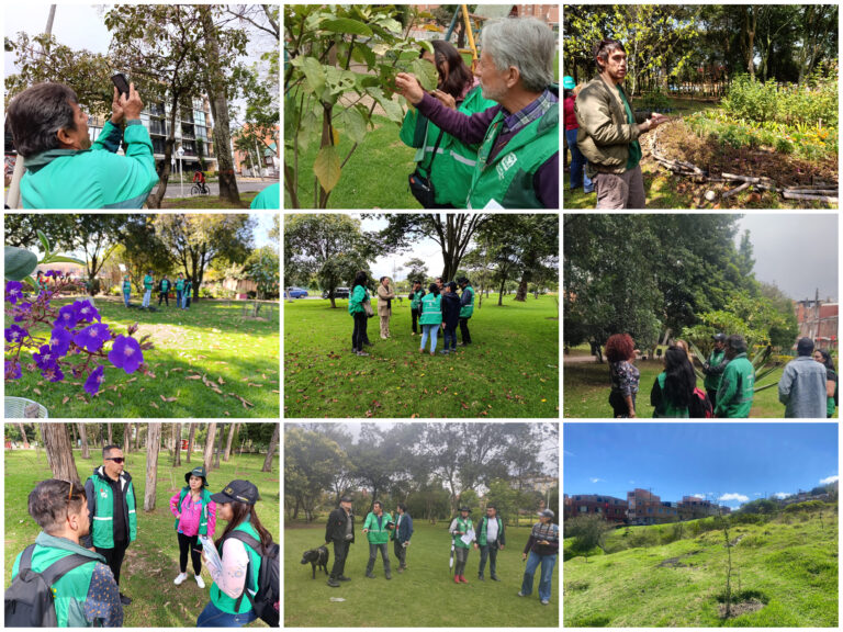 La hoja de ruta del Jardín Botánico en 10 bosques urbanos de Bogotá