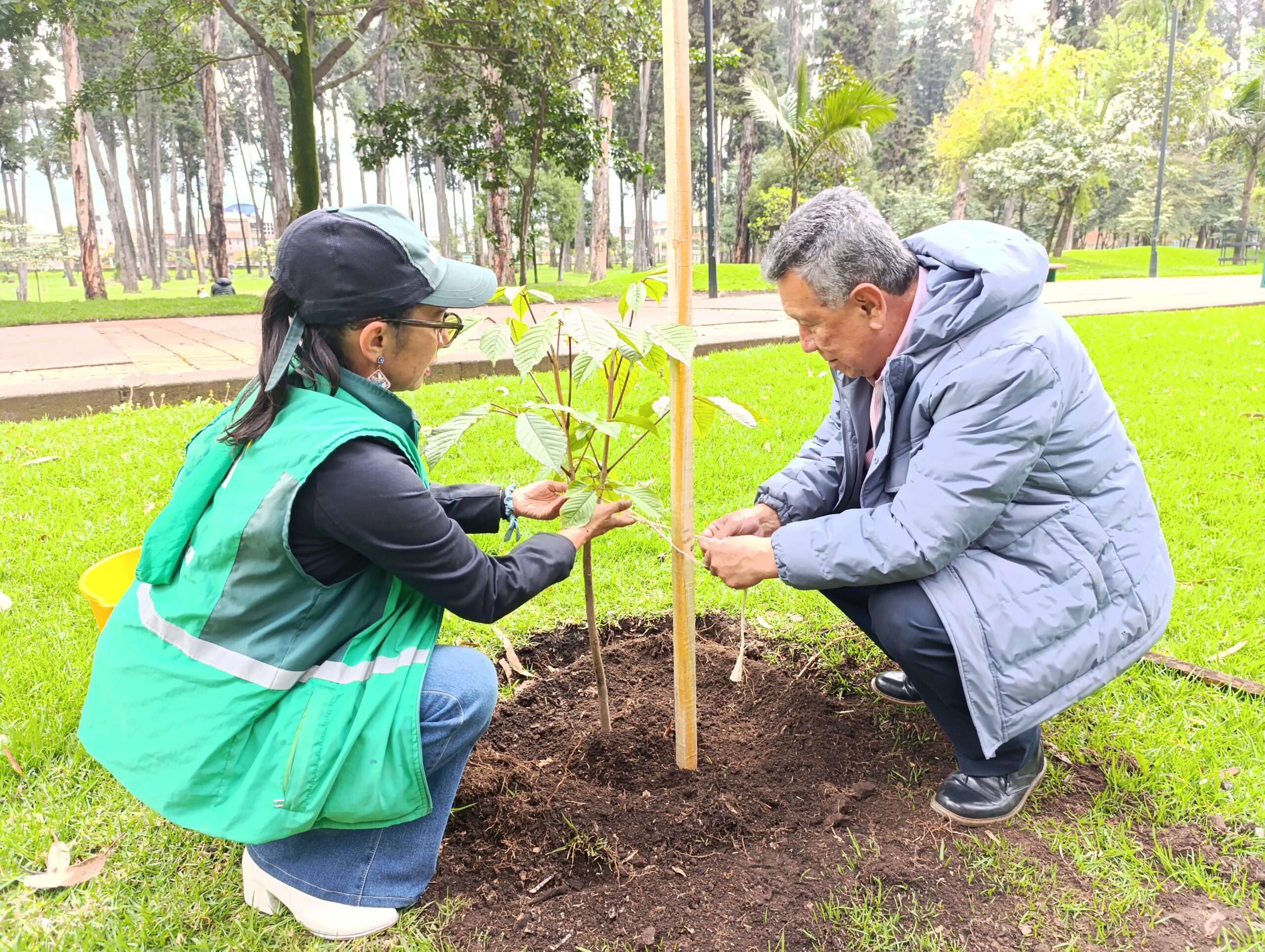 ¡El Día de la Bogotaneidad se vistió de verde!