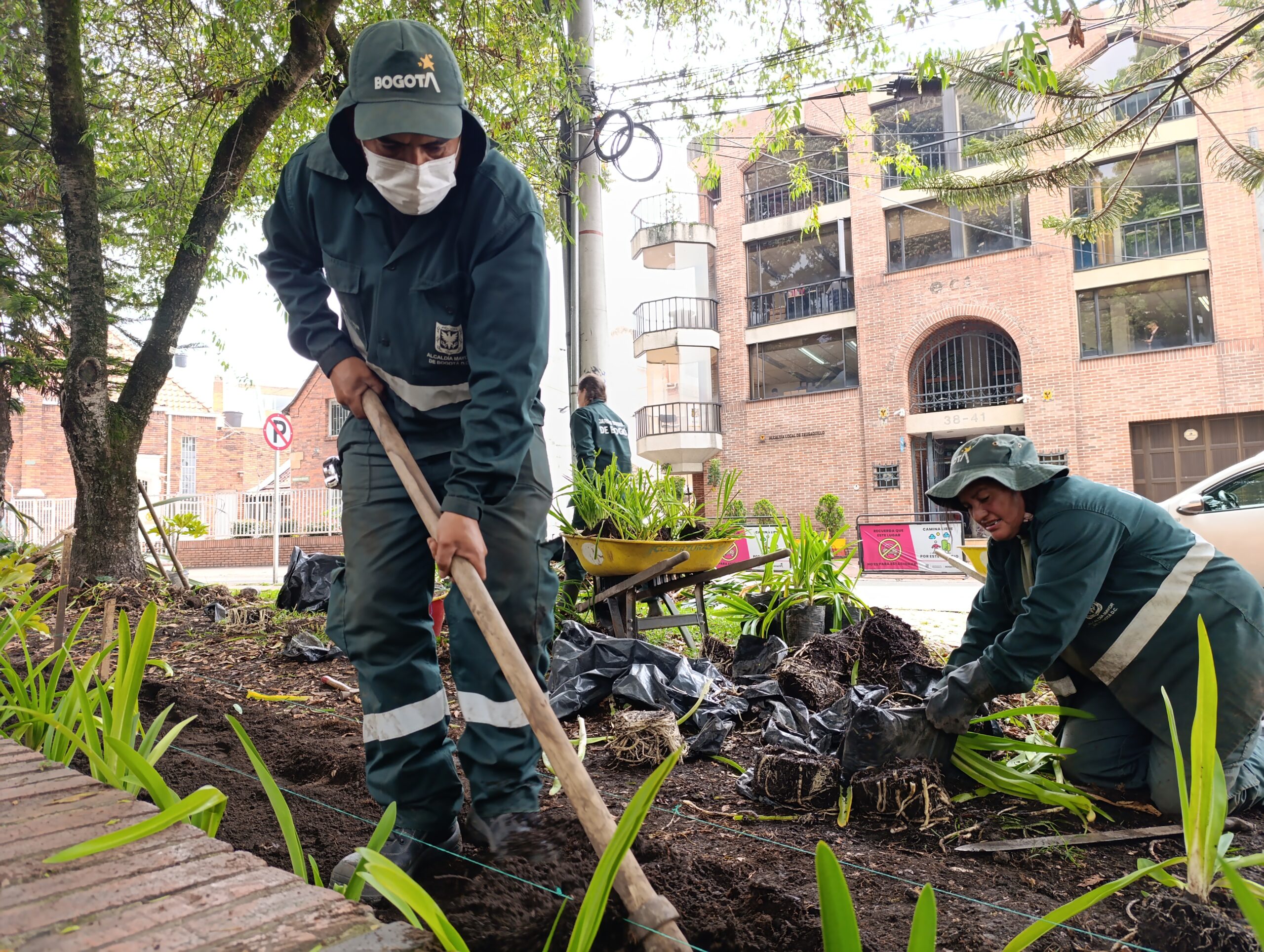 ¡El Día de la Bogotaneidad se vistió de verde!