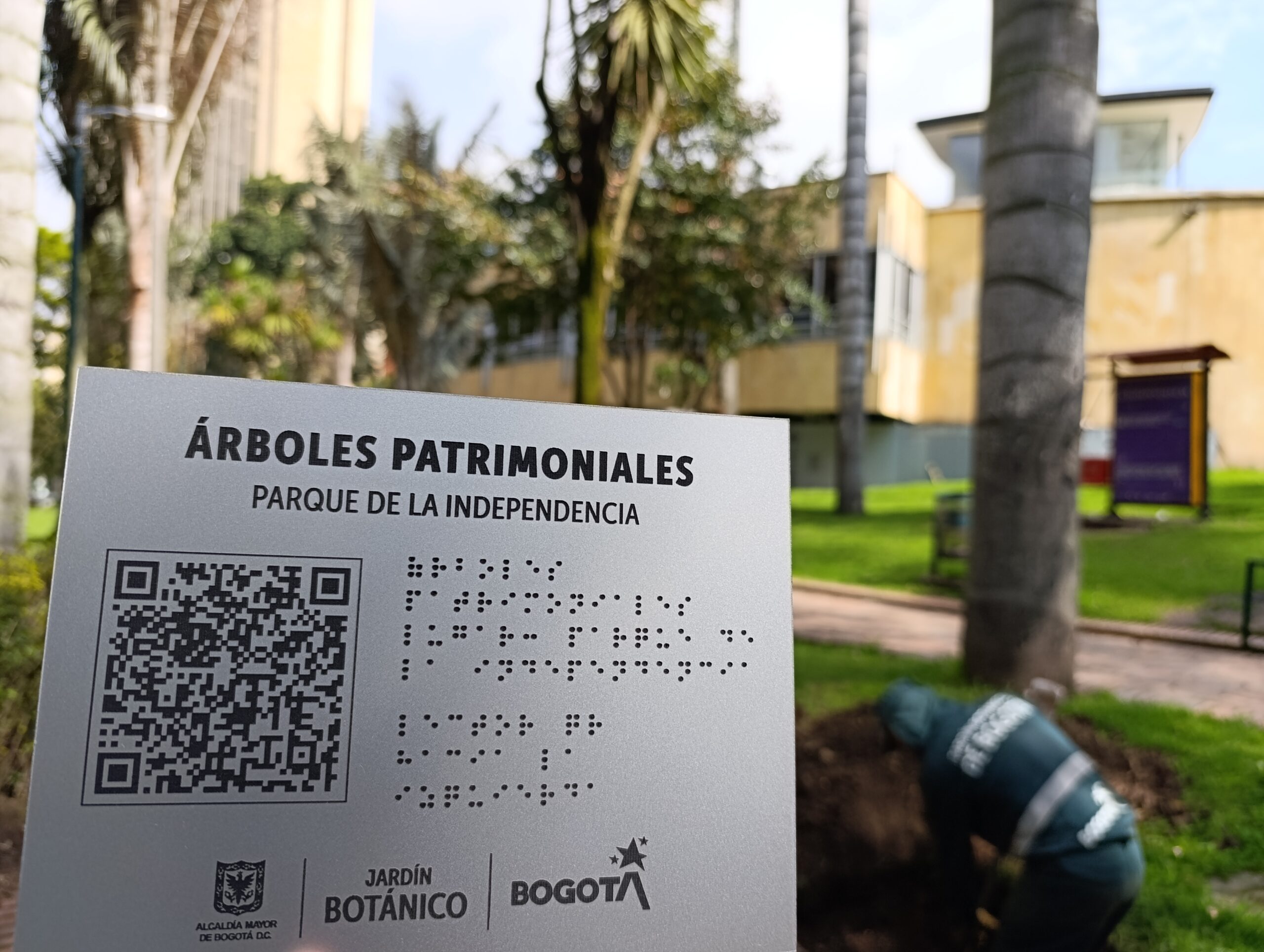 ¡El Día de la Bogotaneidad se vistió de verde!