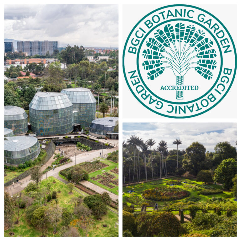 El Jardín Botánico de Bogotá recibe acreditación internacional de BGCI por su trabajo en conservación