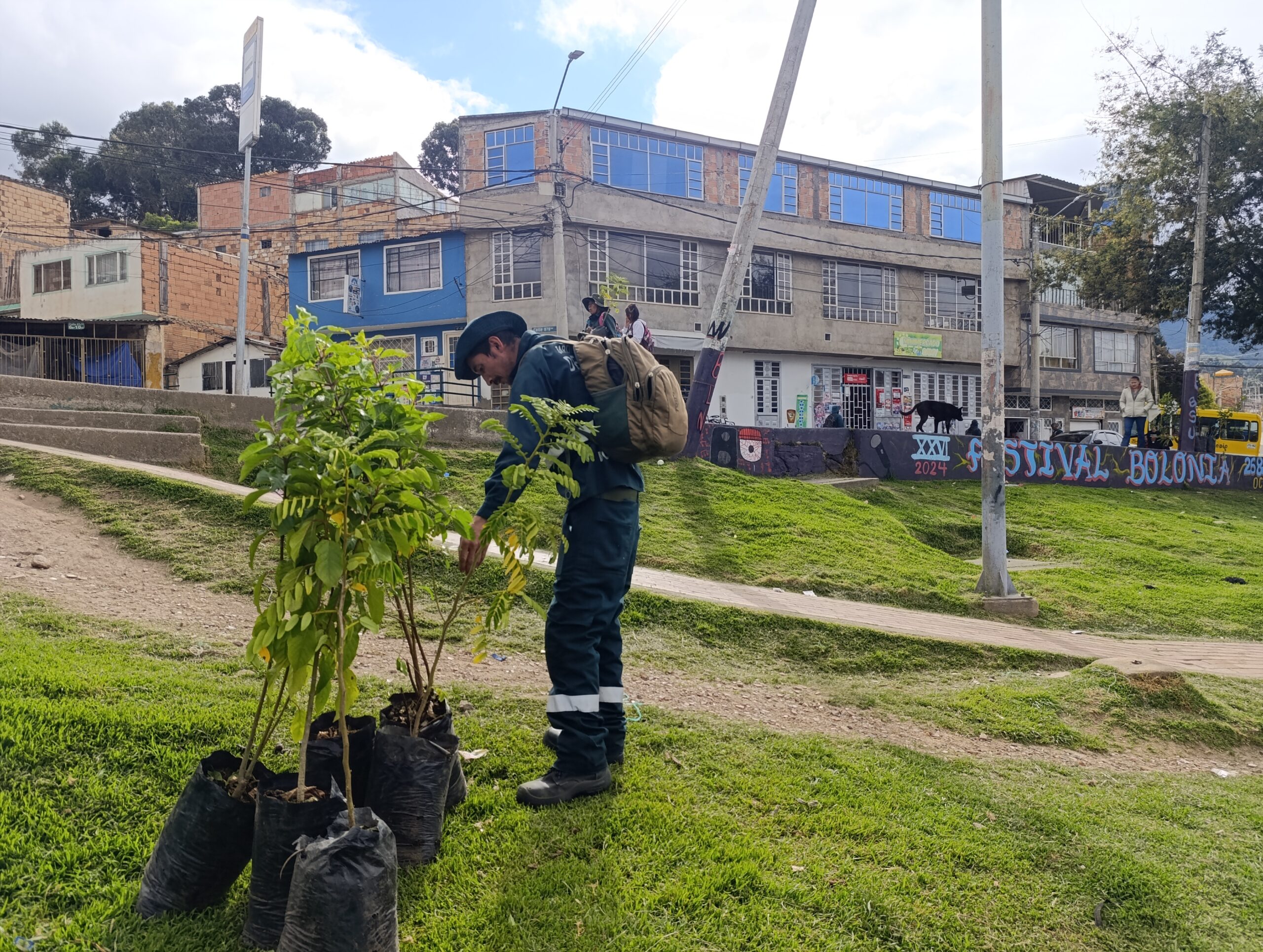 ¡Sueño comunitario cumplido!: parque Portal del Bosque en Usme recibió sus primeros árboles y arbustos