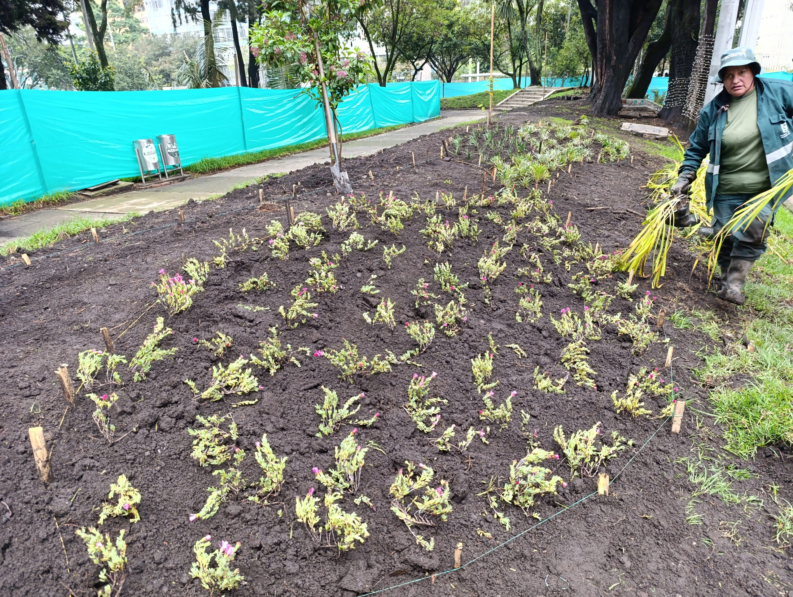 ¡El Parque Nacional estrena jardineras!