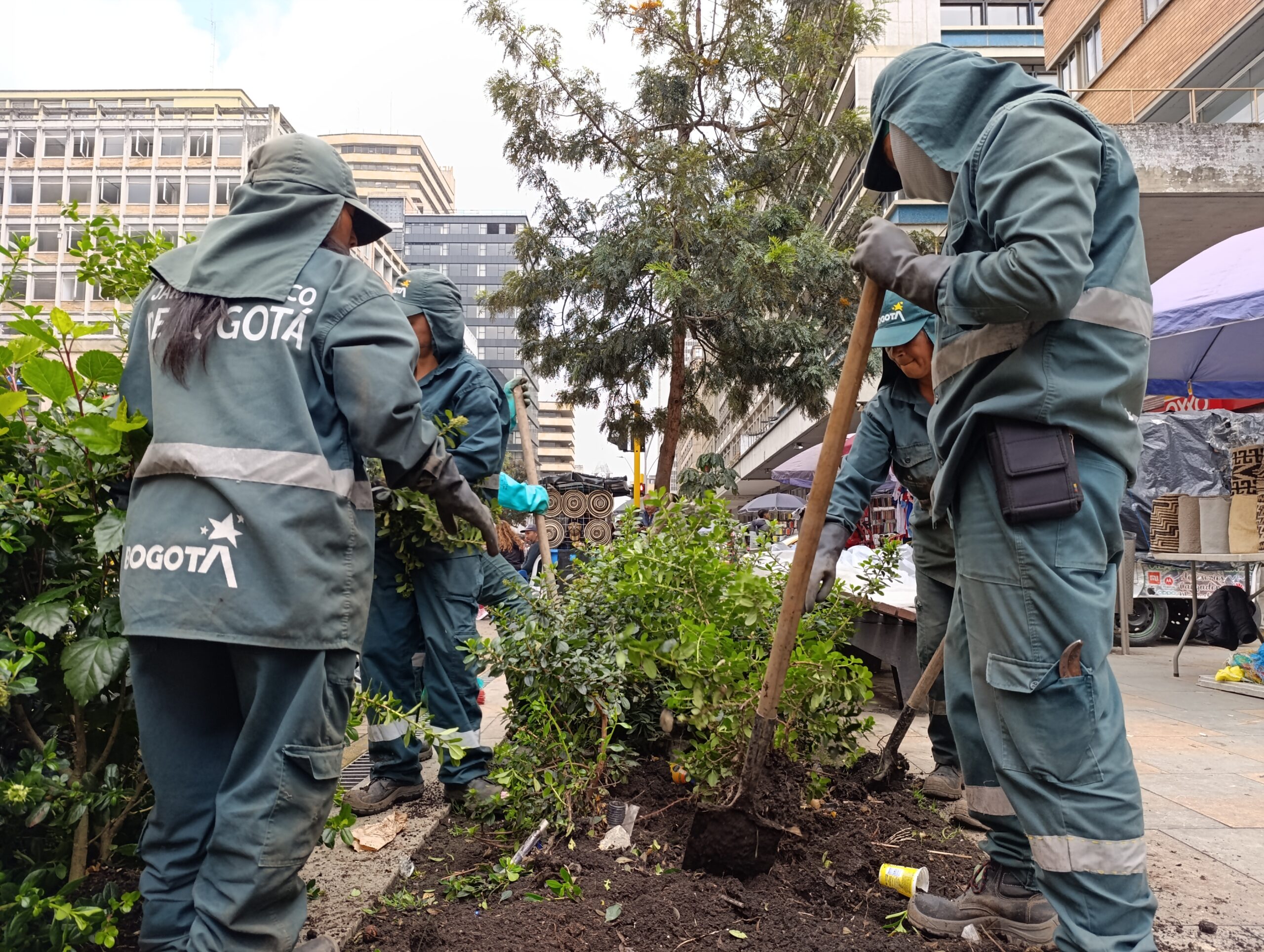 La colorida transformación de las jardineras de la Carrera Séptima La colorida transformación de las jardineras de la Carrera Séptima