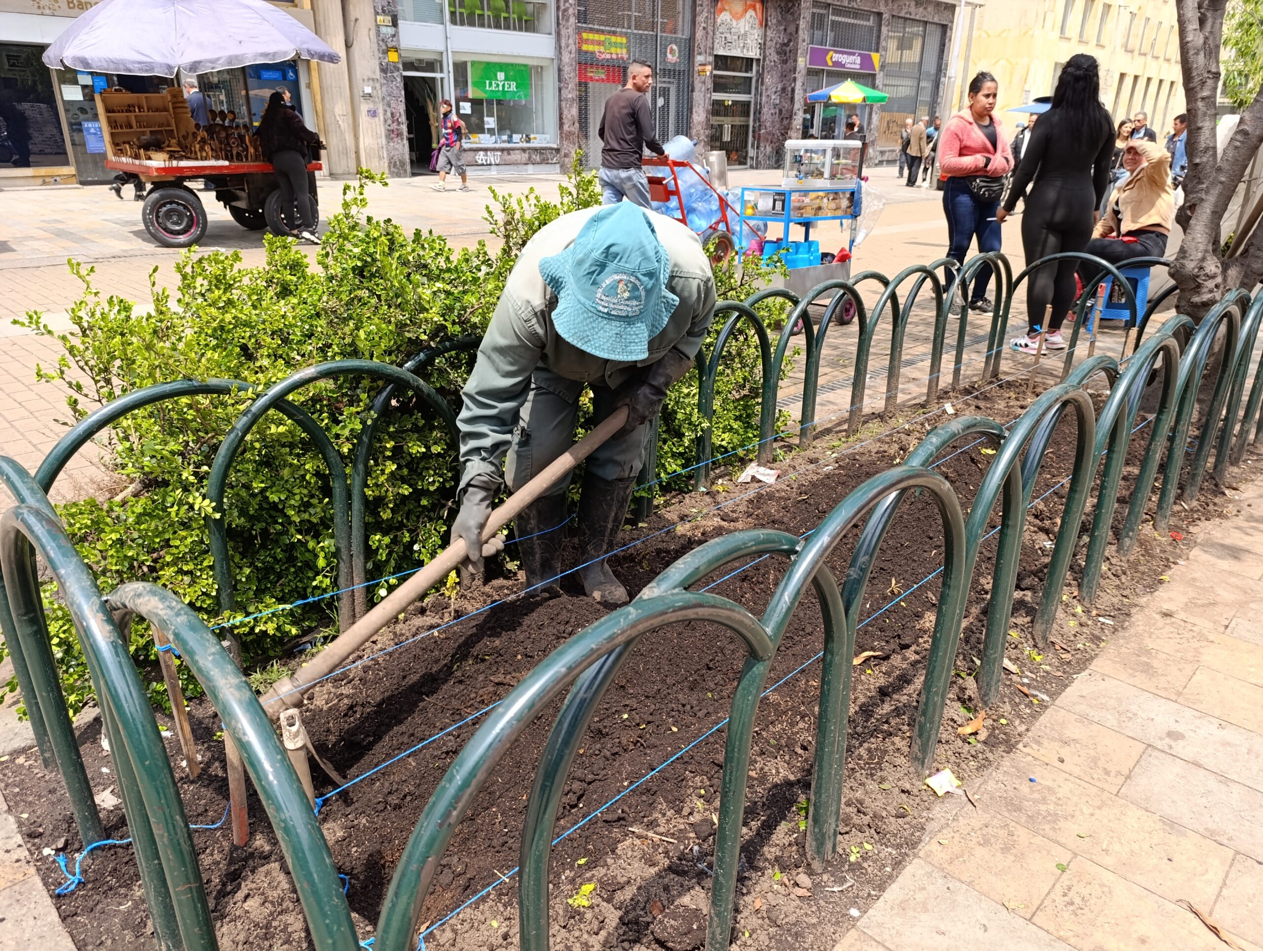 La colorida transformación de las jardineras de la Carrera Séptima La colorida transformación de las jardineras de la Carrera Séptima