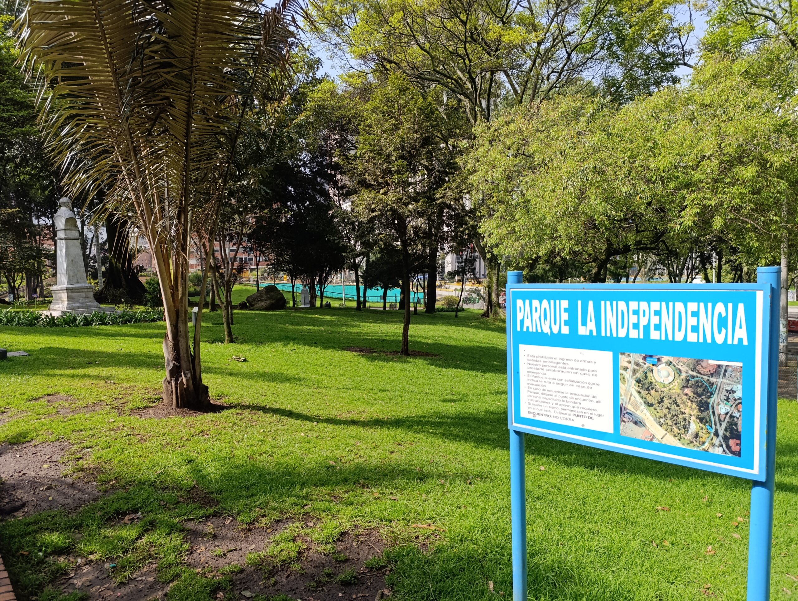 ¡A ubicar y conocer los árboles patrimoniales del Parque de la Independencia en el celular!
