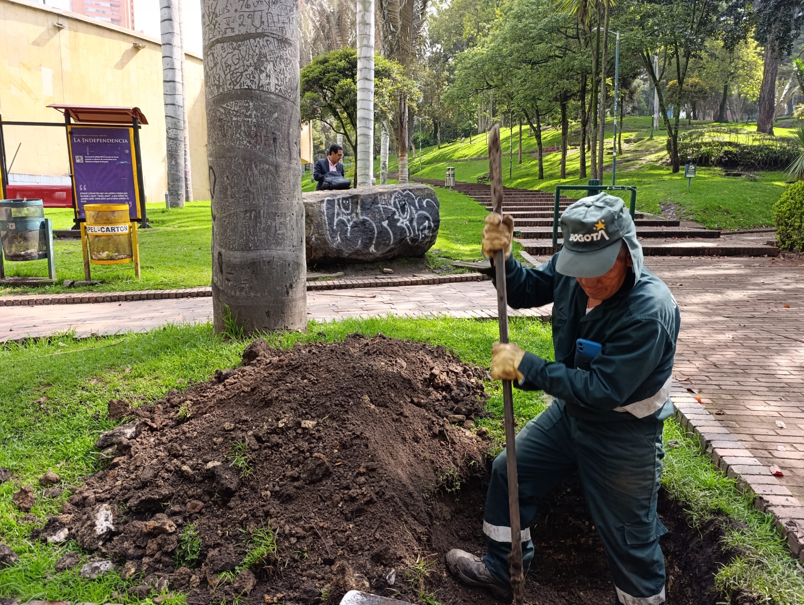 ¡A ubicar y conocer los árboles patrimoniales del Parque de la Independencia en el celular!