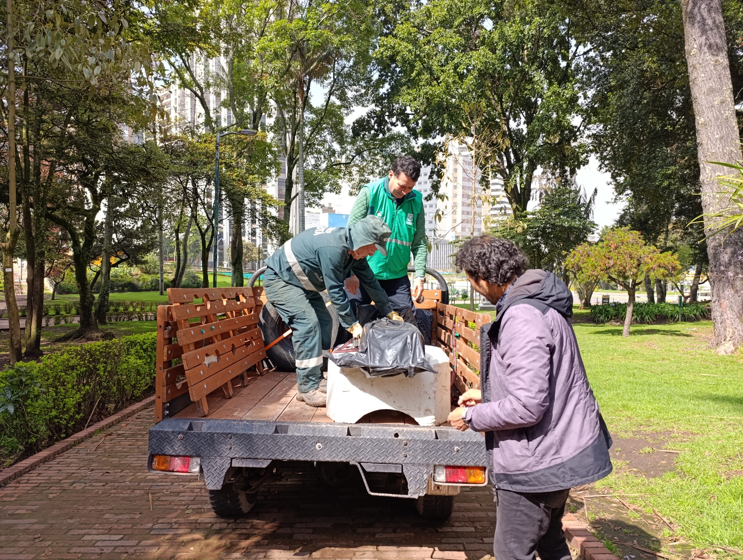¡A ubicar y conocer los árboles patrimoniales del Parque de la Independencia en el celular!