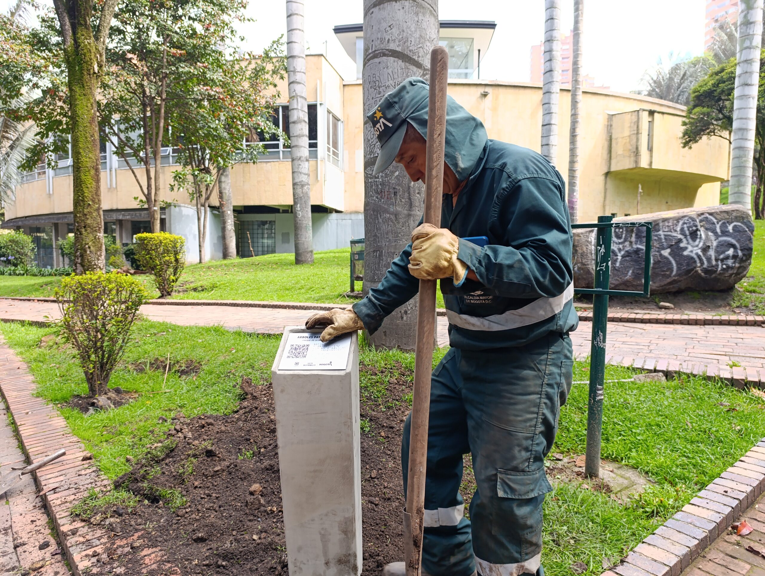 ¡A ubicar y conocer los árboles patrimoniales del Parque de la Independencia en el celular!