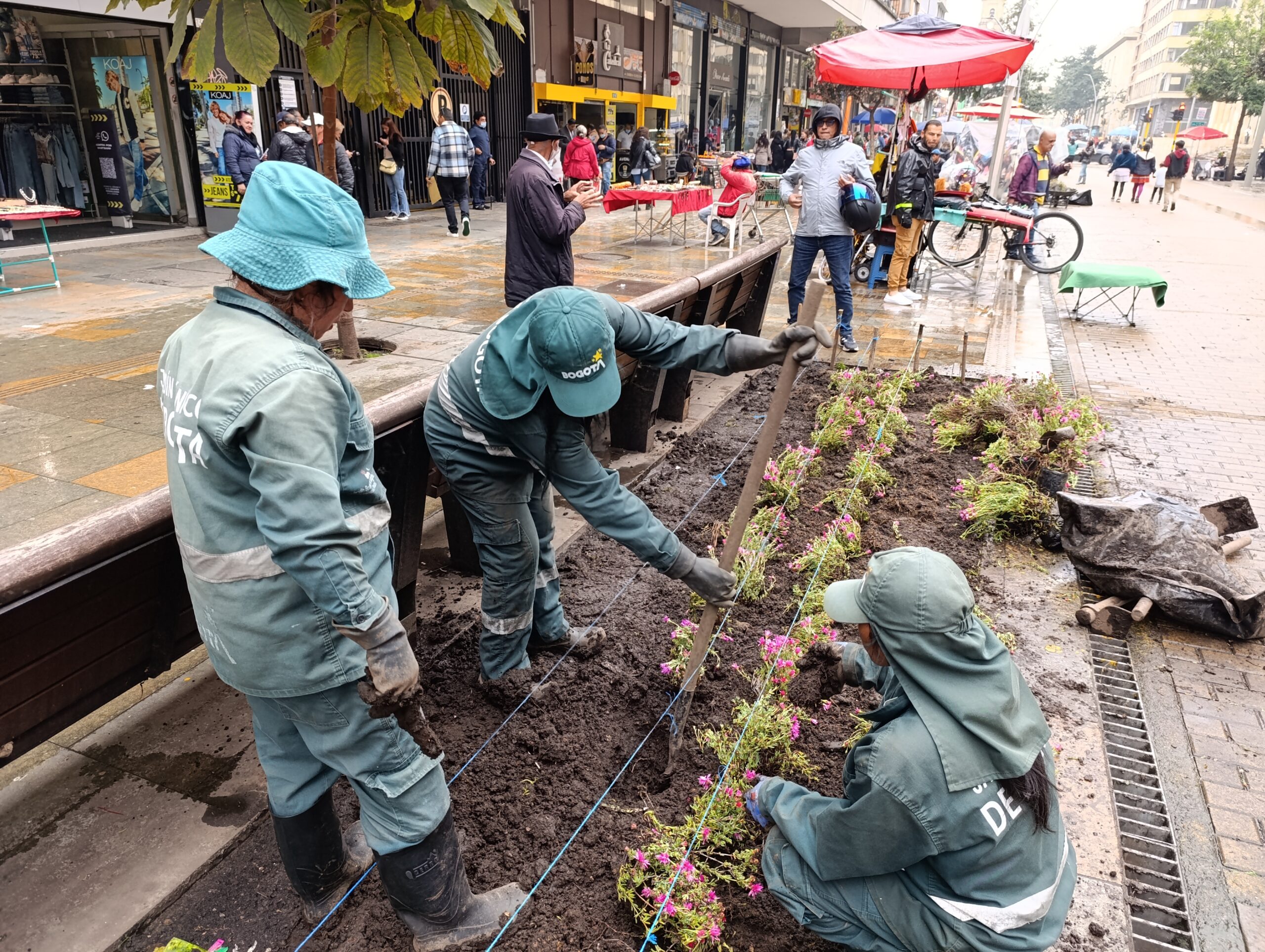 La colorida transformación de las jardineras de la Carrera Séptima La colorida transformación de las jardineras de la Carrera Séptima