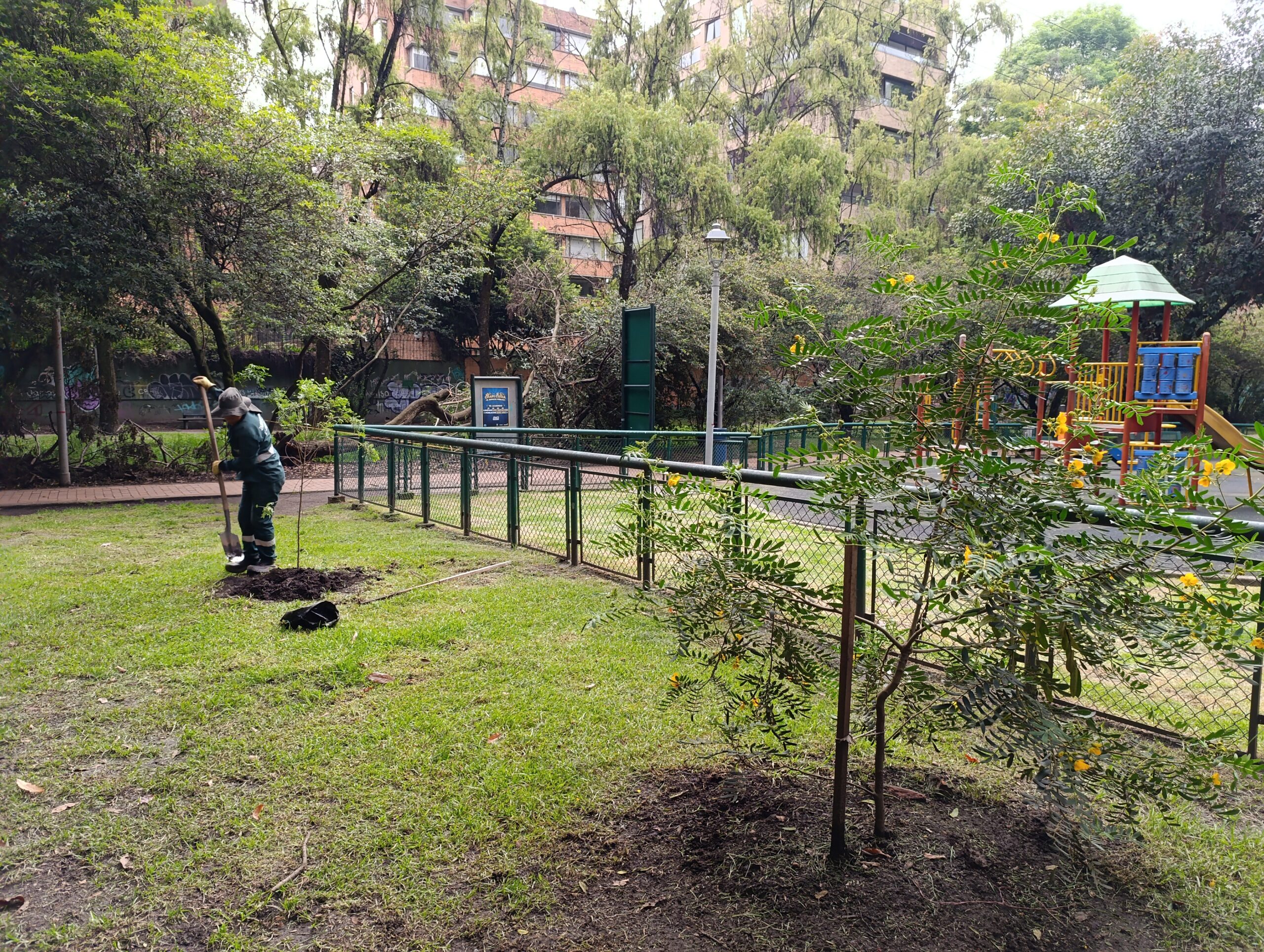 Jornadas de replante en tres pulmones verdes de Chapinero