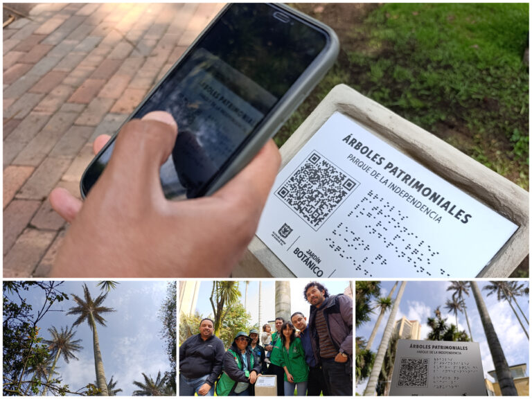 ¡A ubicar y conocer los árboles patrimoniales del Parque de la Independencia en el celular!