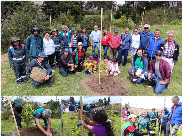 ¡Sueño comunitario cumplido!: parque Portal del Bosque en Usme recibió sus primeros árboles y arbustos