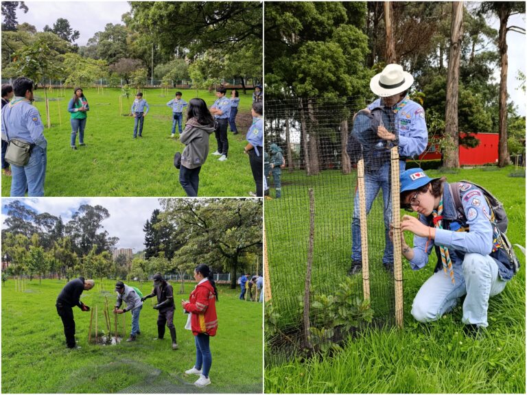 Comunidad gestionó material para proteger los árboles del bosque de San Carlos