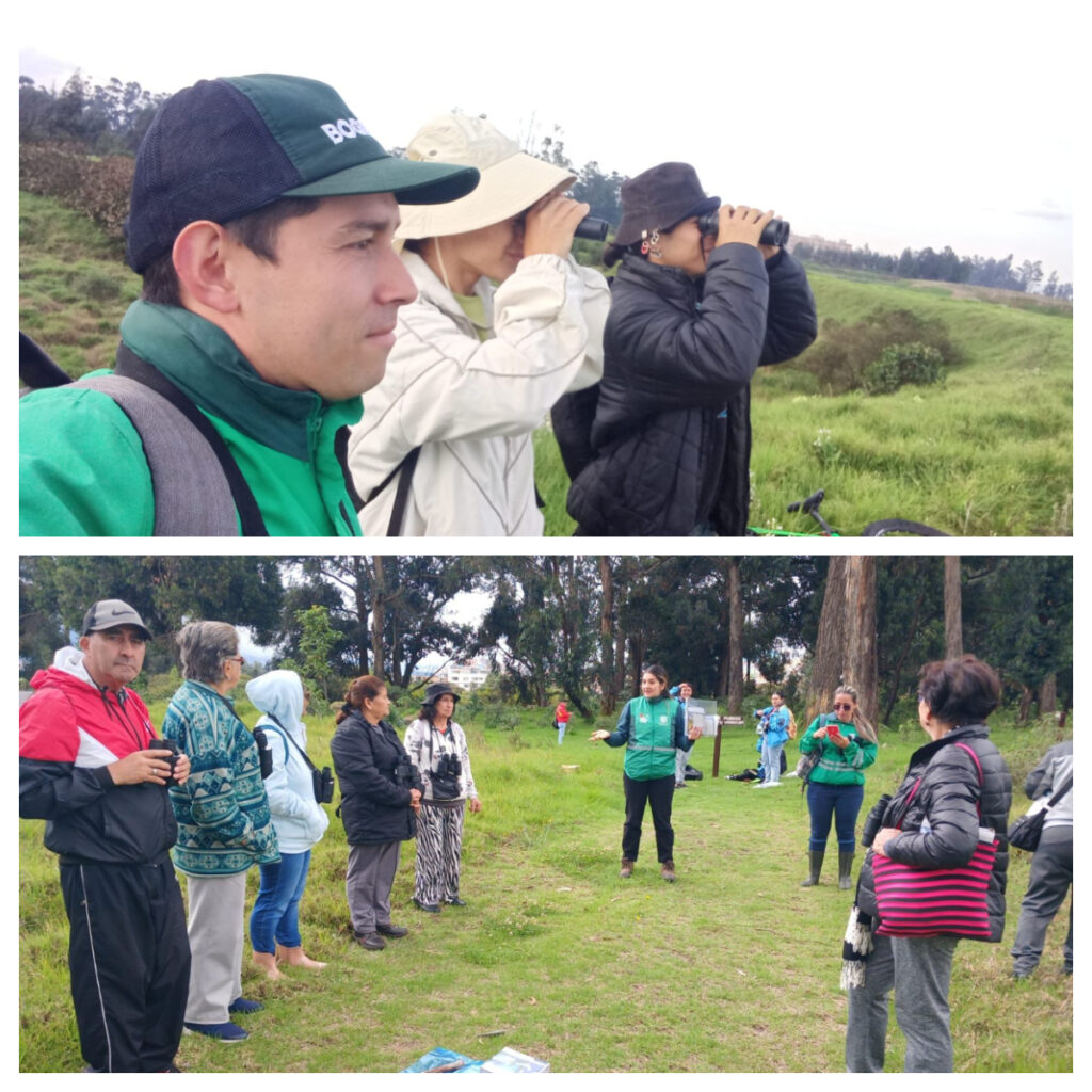 Celebramos la vida: bosques, agua y comunidad