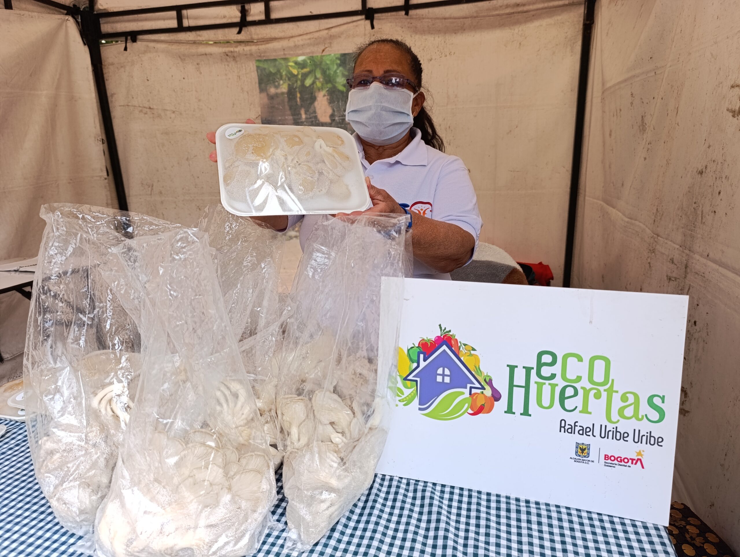 ¡Jardín Botánico realizó su primera feria de emprendimientos agroecológicos!