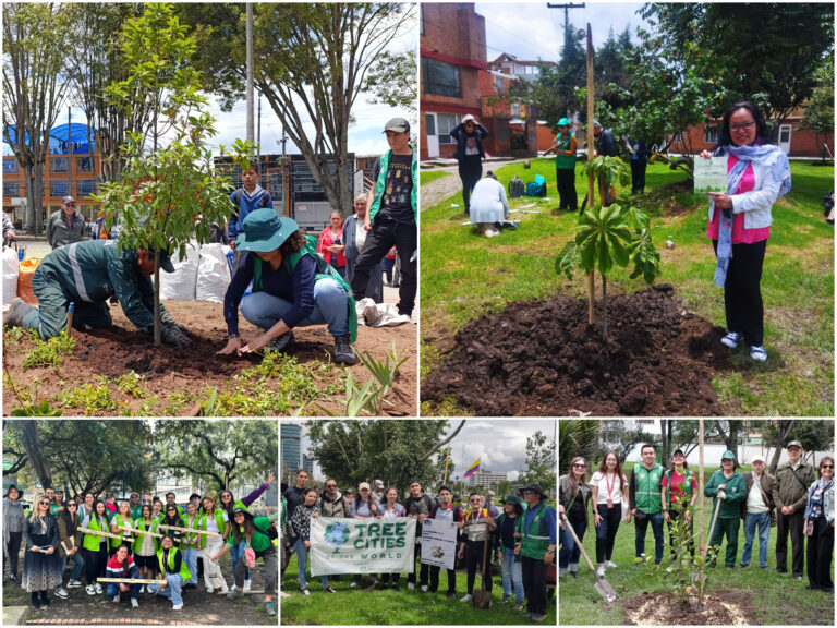 El homenaje de Bogotá a los bosques en su día