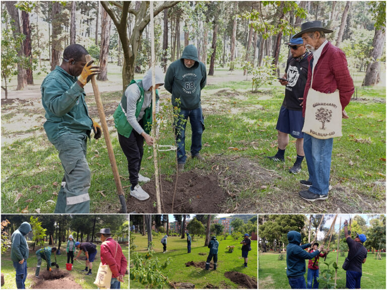 El pulmón verde del sur de Bogotá fortalece su arbolado joven