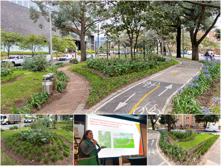 Historias del verde urbano: Obelisco: la joya jardinera de Ciudad Salitre Oriental