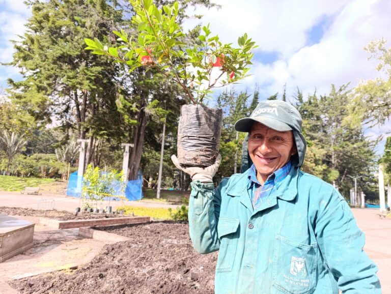 El Jardín Botánico celebrará el Día Internacional de los Bosques con una maratón de plantaciones