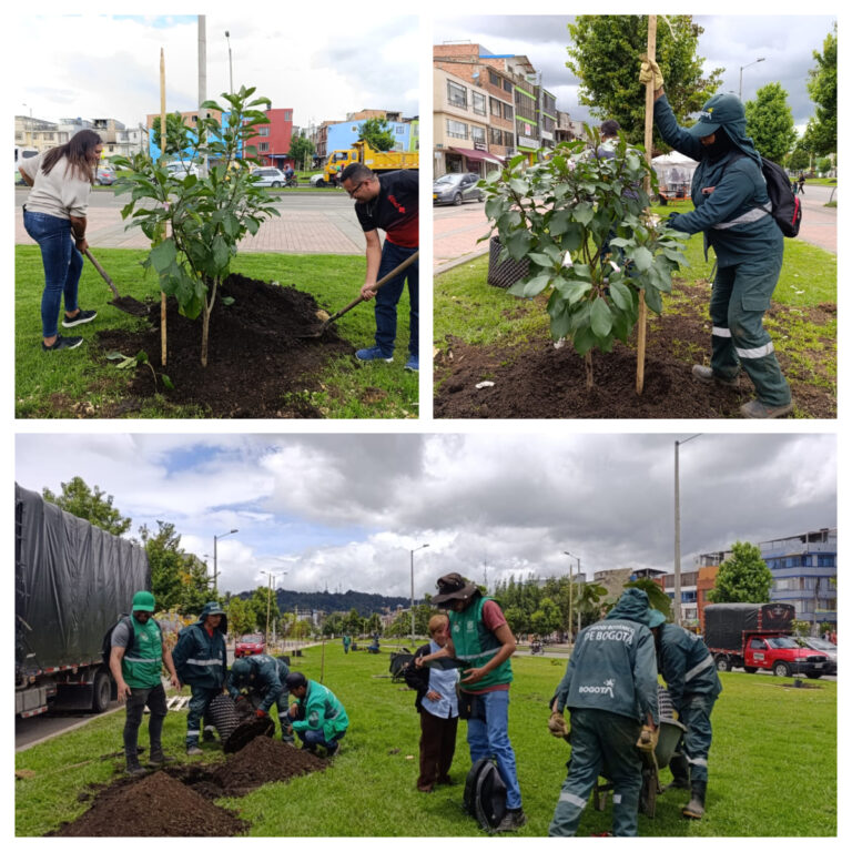Bogotá conmemora el Día Nacional del Árbol con plantaciones estratégicas lideradas por el Jardín Botánico