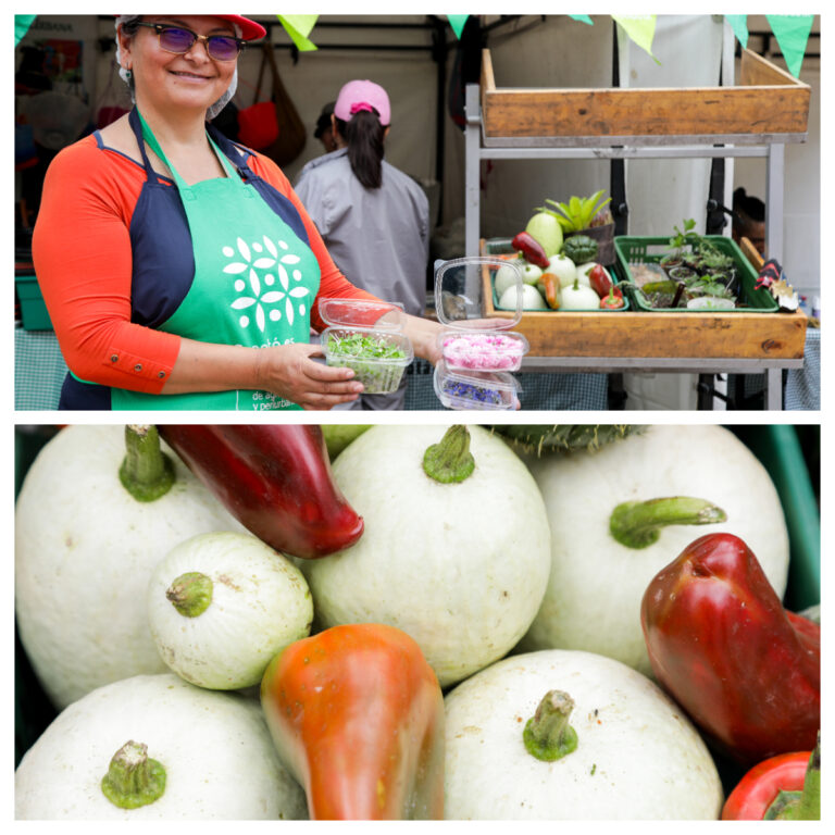 "Bogotá es mi Huerta" trae el Mercado Campesino Agroecológico – Versión 38