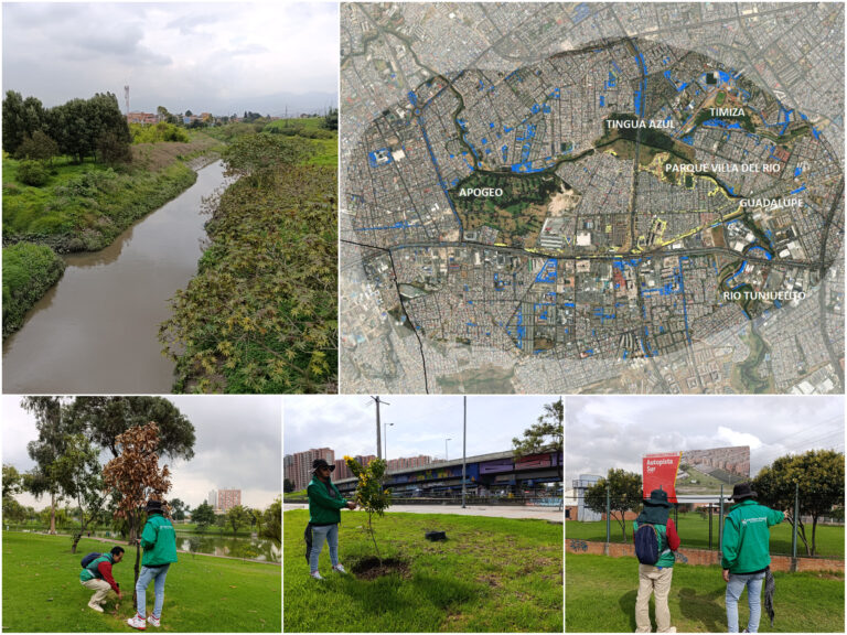 Historias del verde urbano: La apuesta del Jardín Botánico para renaturalizar una de las zonas del sur con mayor contaminación del aire