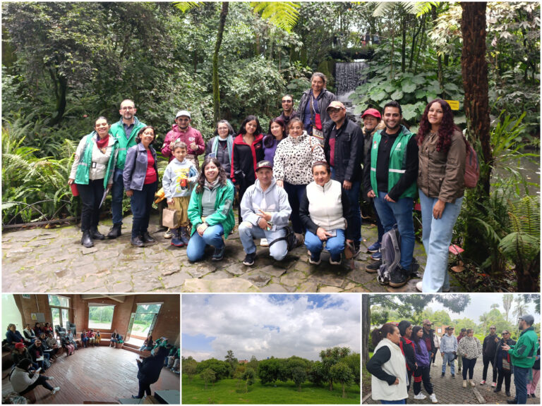 Historias del verde urbano: Primeros pasos para el fortalecimiento del bosque urbano Tierra Viva