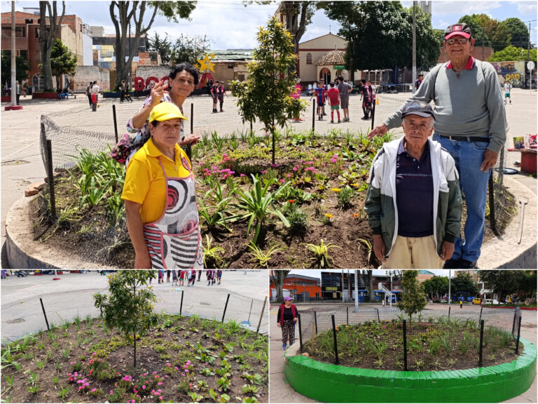 Historias del verde urbano: ¡El nuevo roble de la Plaza Fundacional de Engativá estrena cerramiento!