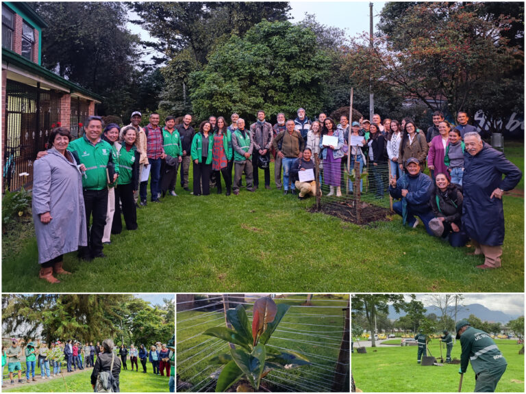 Historias del verde urbano: ¡Así se vivió el festival de los magnolios en el bosque urbano de La Esmeralda!