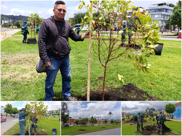 Historias del verde urbano: El nuevo vestido verde de la avenida Tabor
