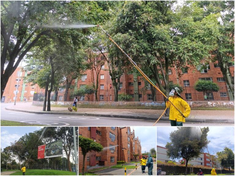 Historias del verde urbano: ¡Uno de los pulmones verdes de Engativá se blinda contra las plagas y enfermedades!