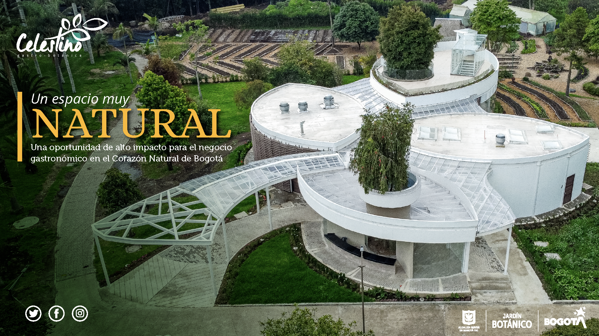 Presentacion_Celestino_Página_1