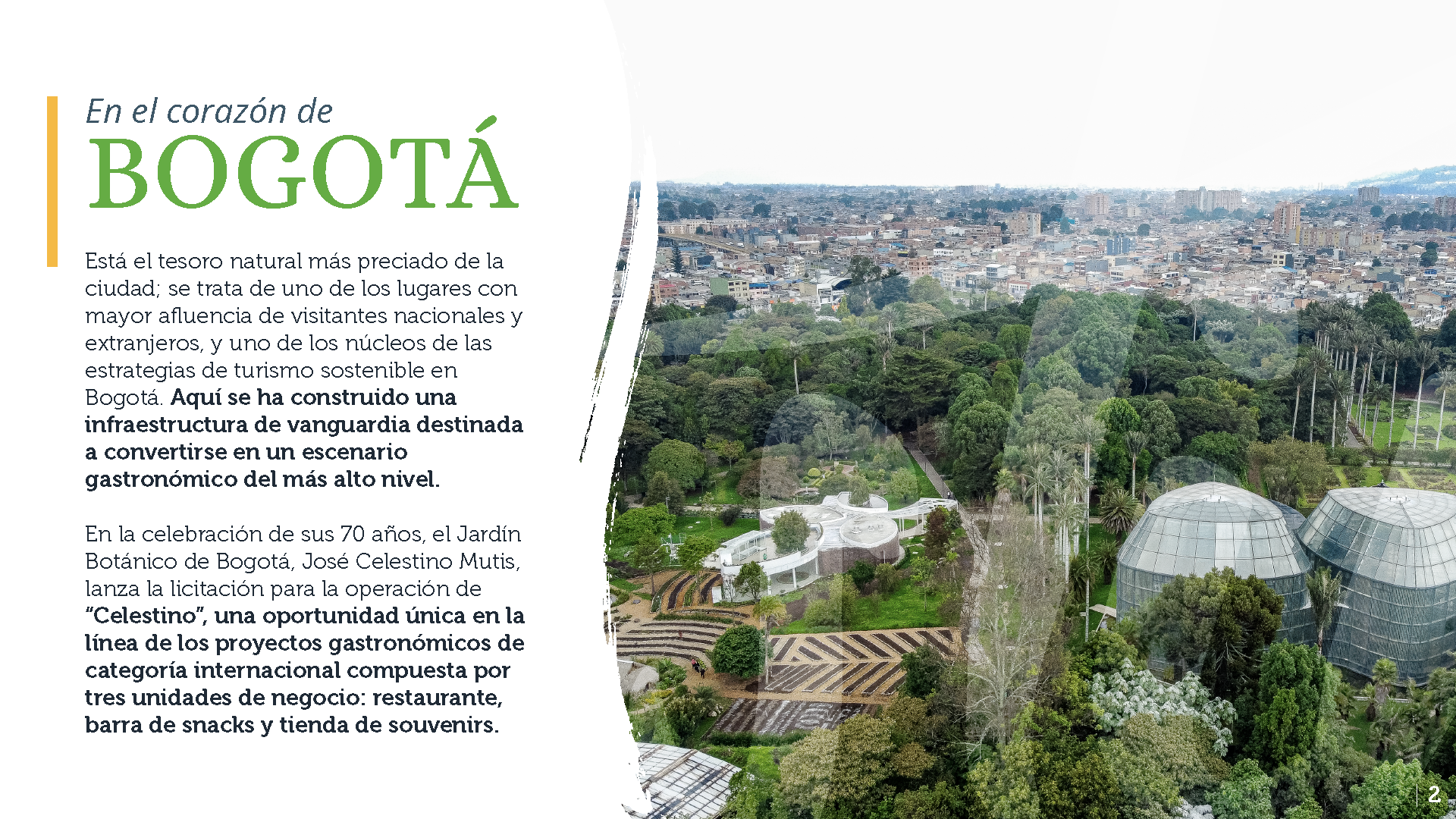 Presentacion_Celestino_Página_1