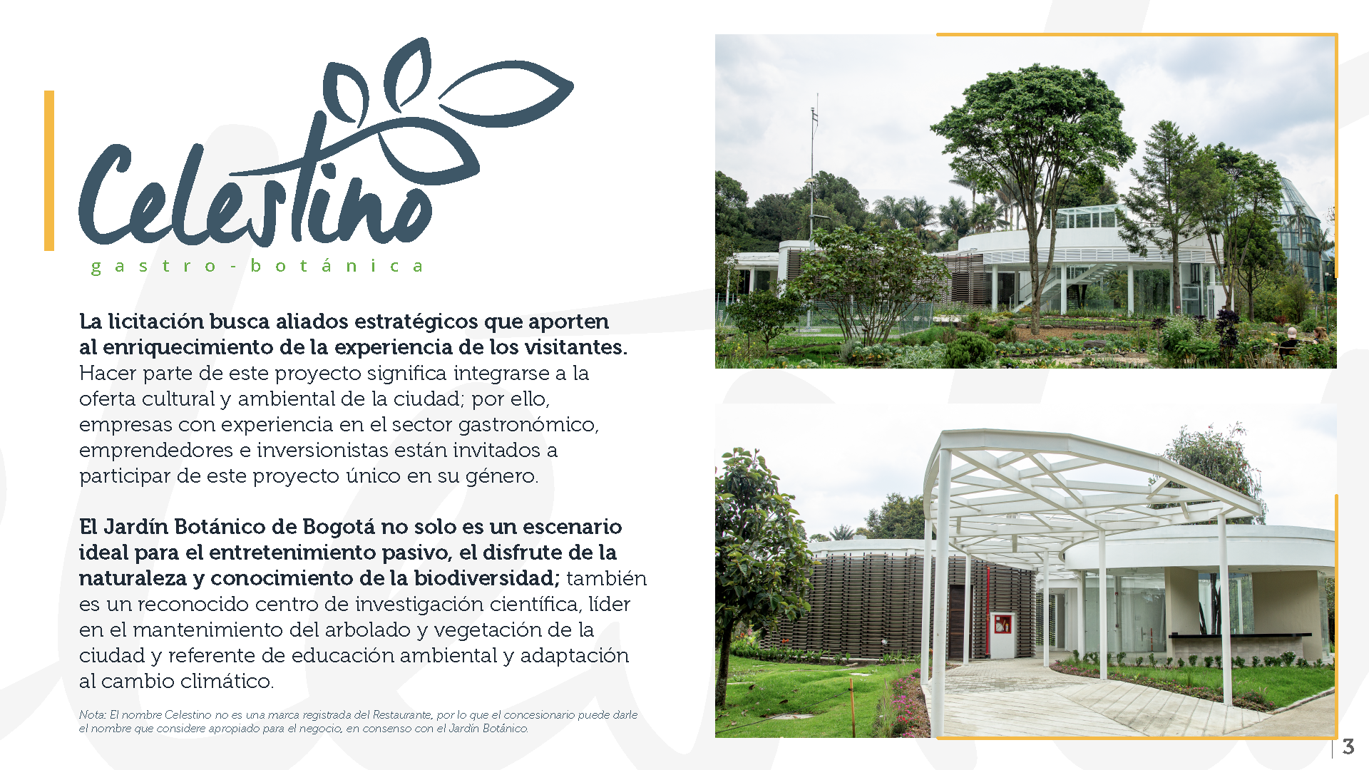 Presentacion_Celestino_Página_3