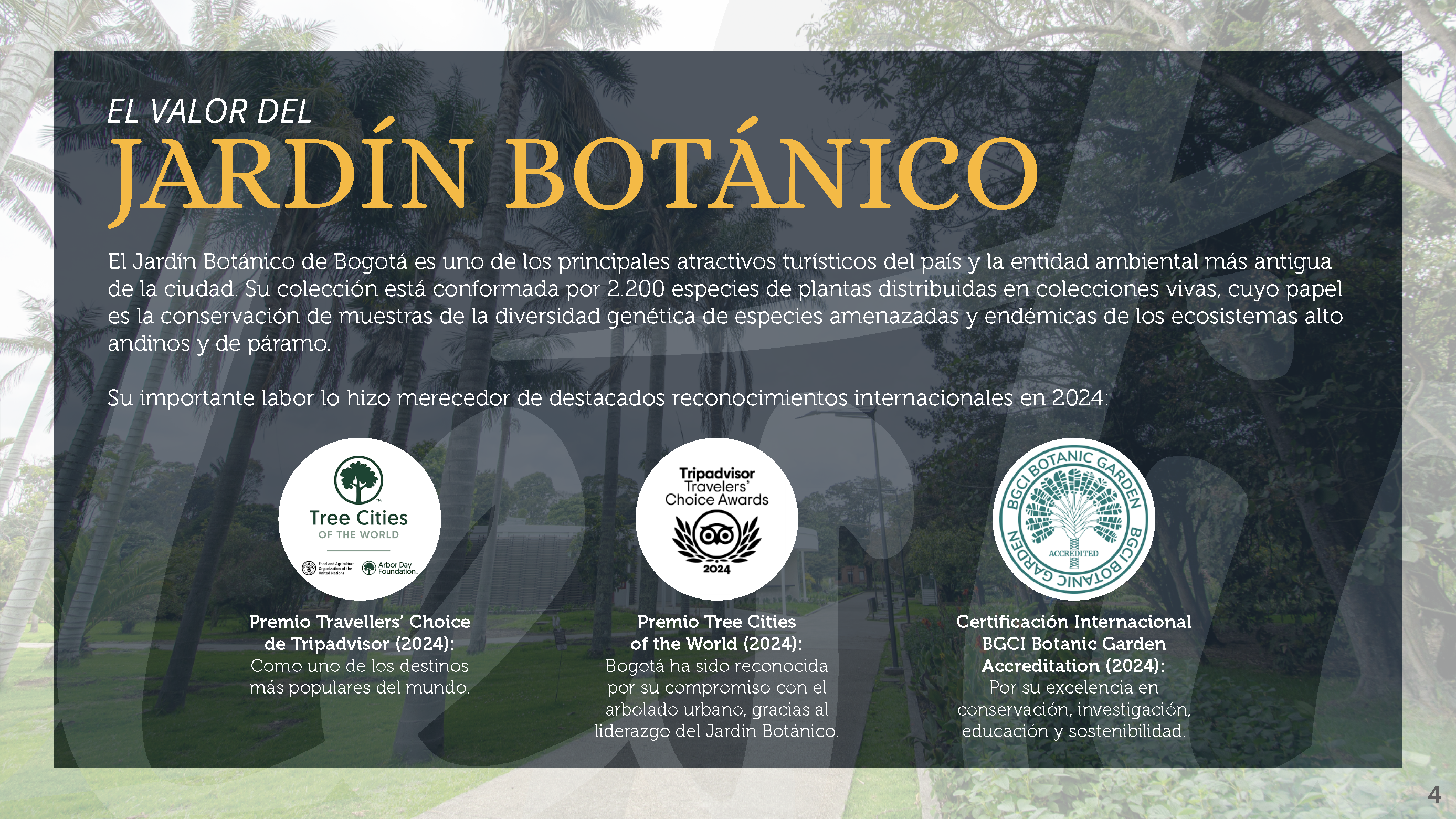 Presentacion_Celestino_Página_4