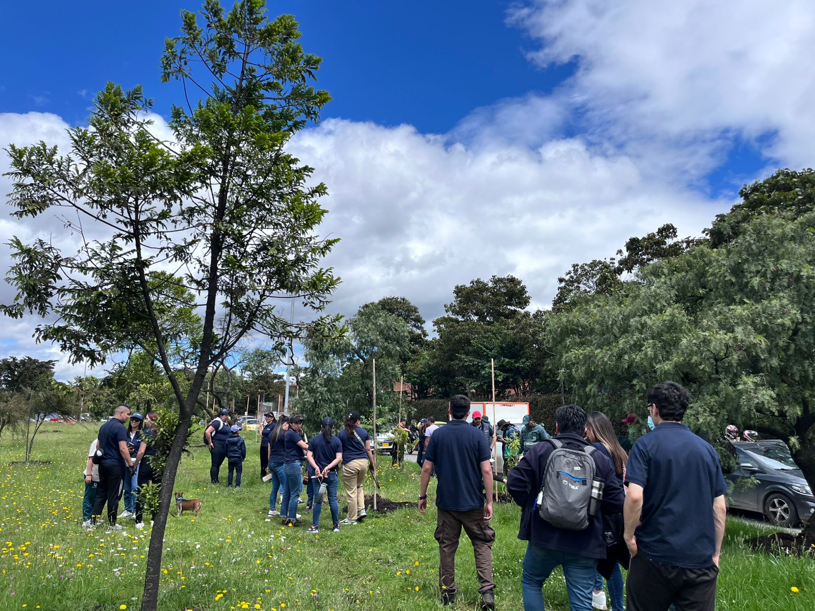 Historias del verde urbano: ¡Empresas privadas se suman al cuidado del arbolado!