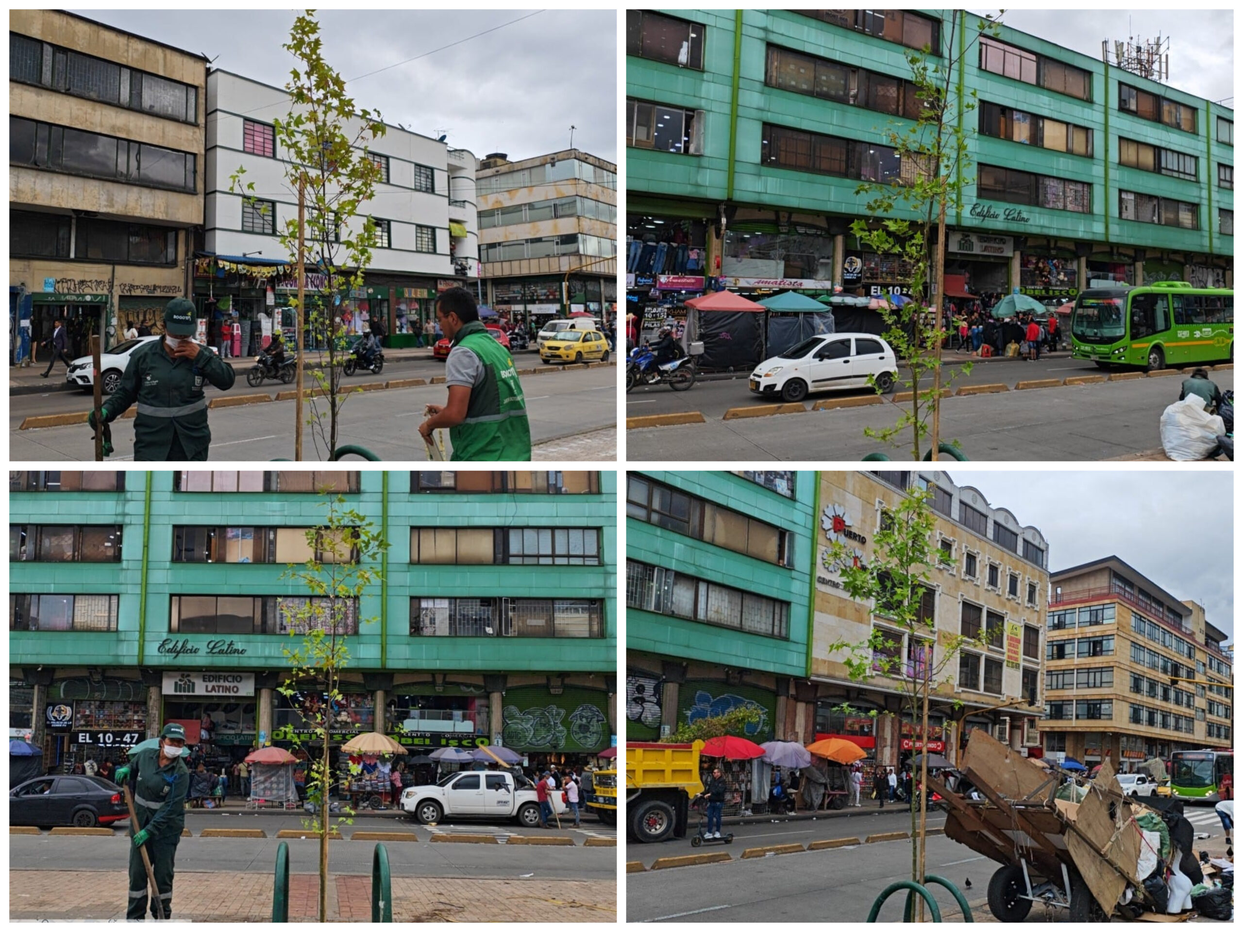 Historias del verde urbano: La carrera décima, en el centro de Bogotá, recupera su arbolado