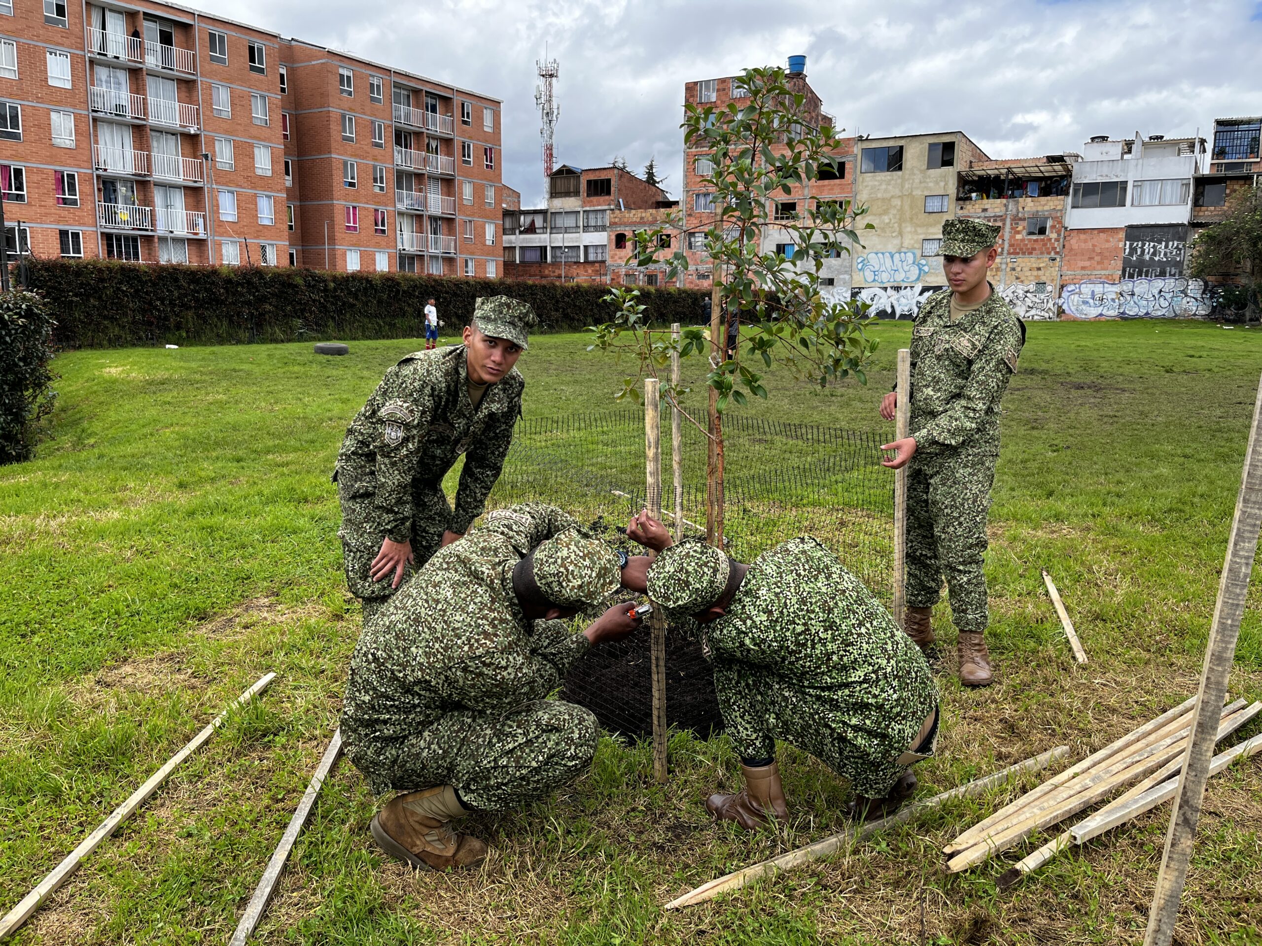 Historias del verde urbano: ¡Empresas privadas se suman al cuidado del arbolado!