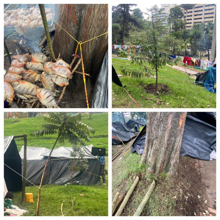 El Jardín Botánico de Bogotá alerta por daños ambientales en el Parque Nacional
